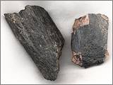 Hornblende