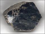 Phlogopite