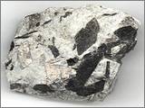 Biotite