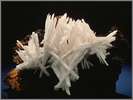 Cerussite Crystal