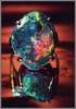 Black Opal With Brilliant Vivid Colors
